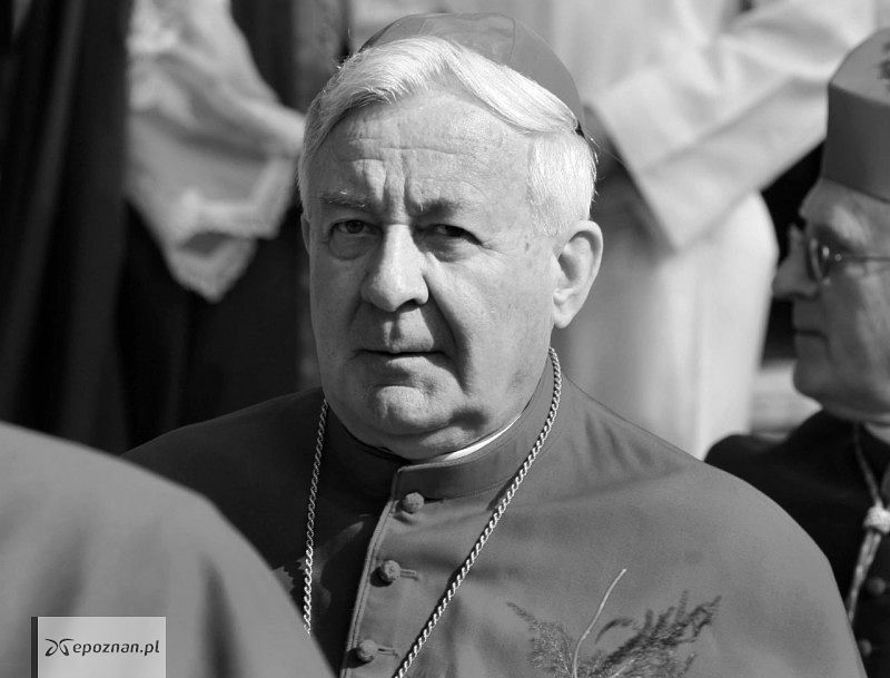 fot. PAP/Bogdan Borowiak