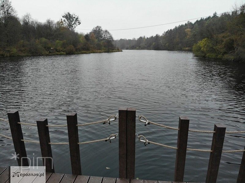 fot. Poznańskie Inwestycje Miejskie