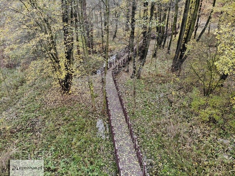fot. Poznańskie Inwestycje Miejskie