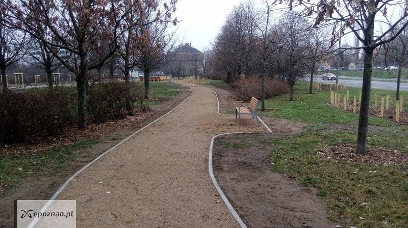 fot. Zieleń przyuliczna Poznań / FB