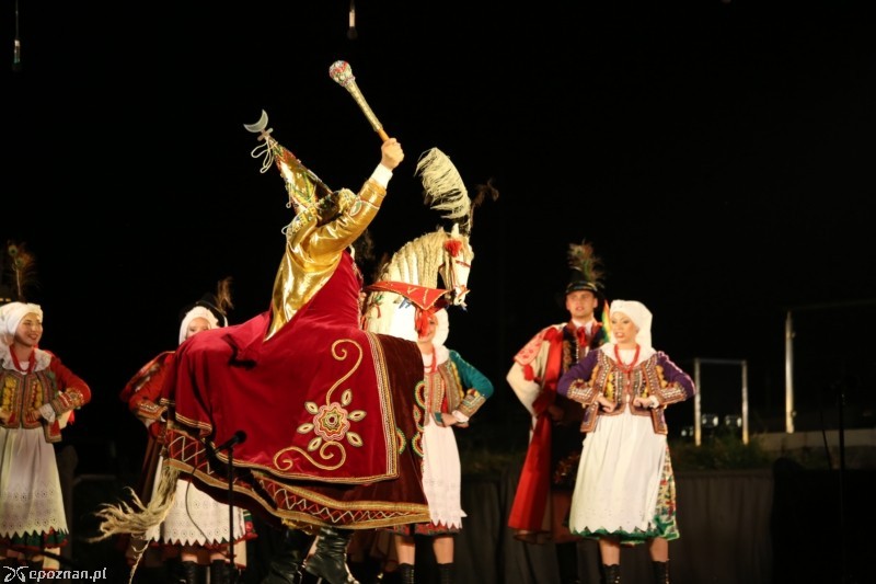 fot. Tomasz Nowak