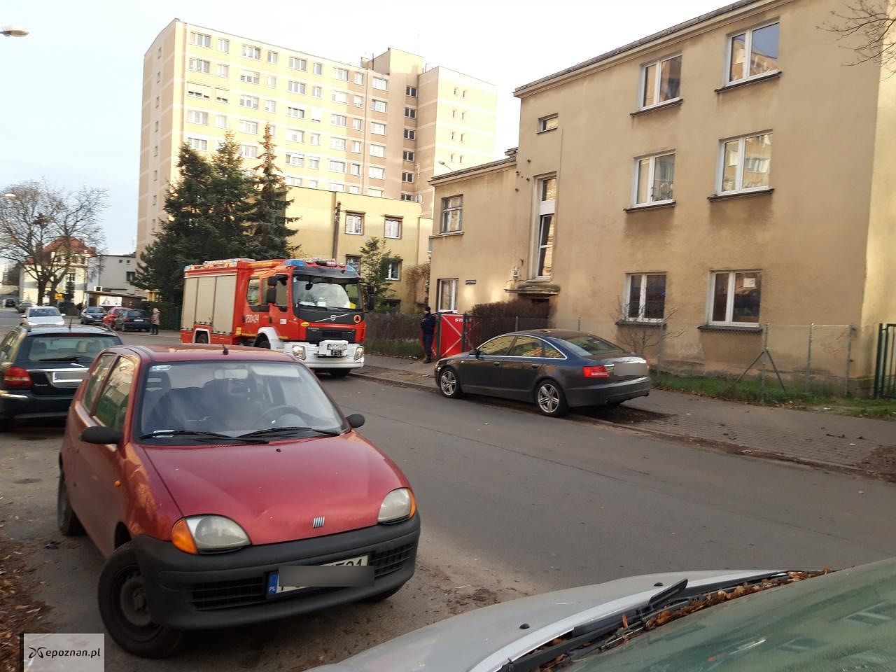 fot. Mirek