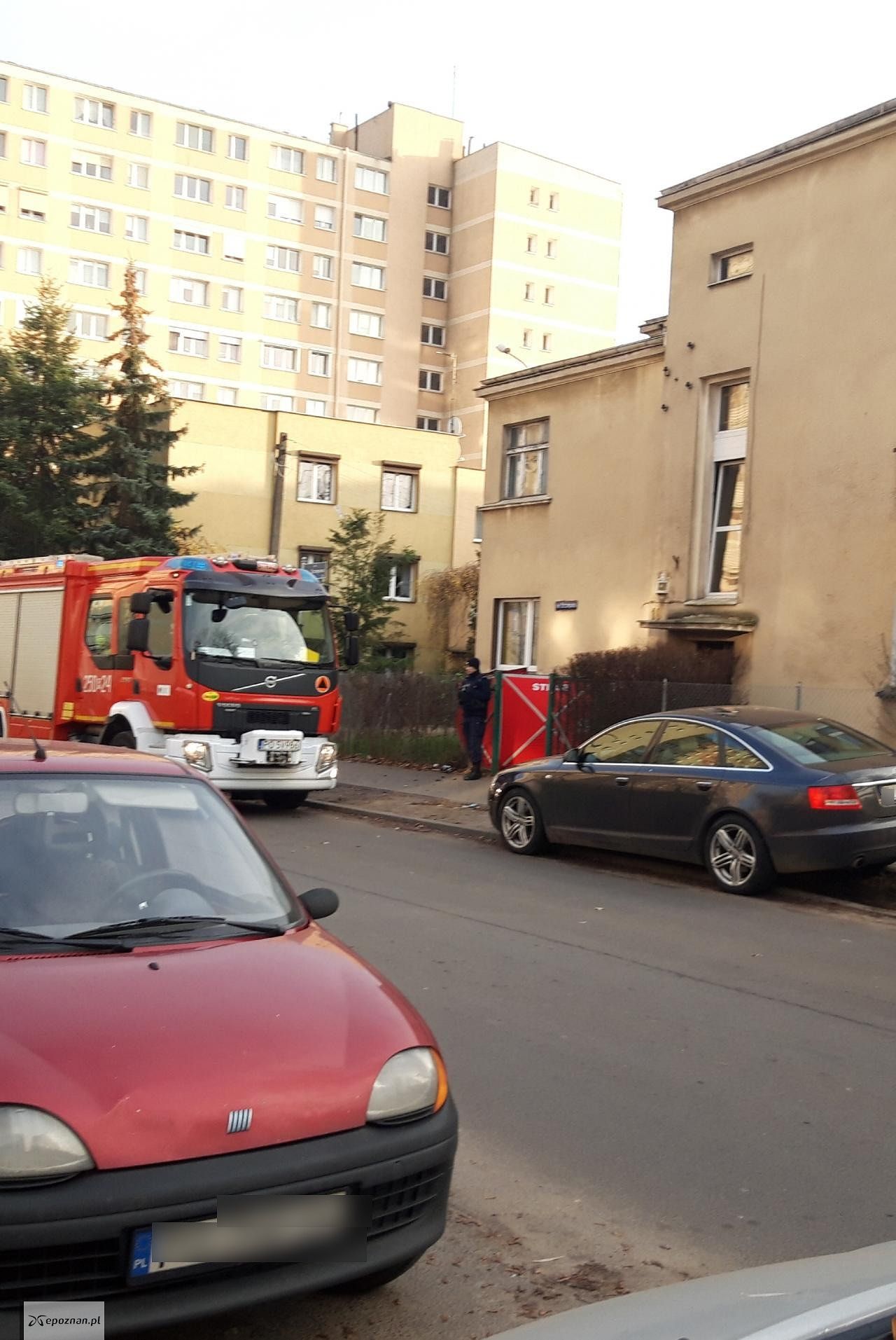 fot. Mirek