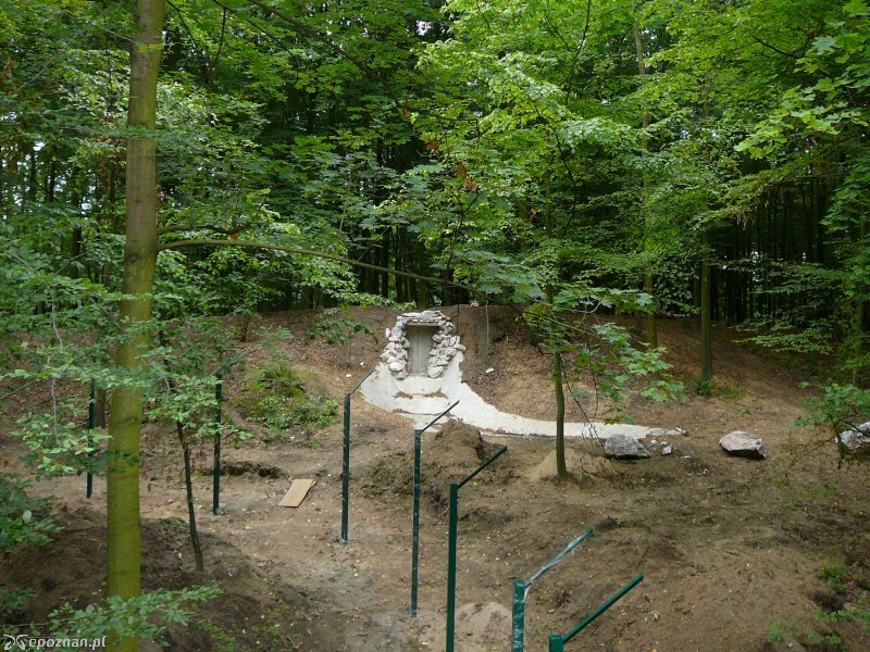 fot. Nowe ZOO