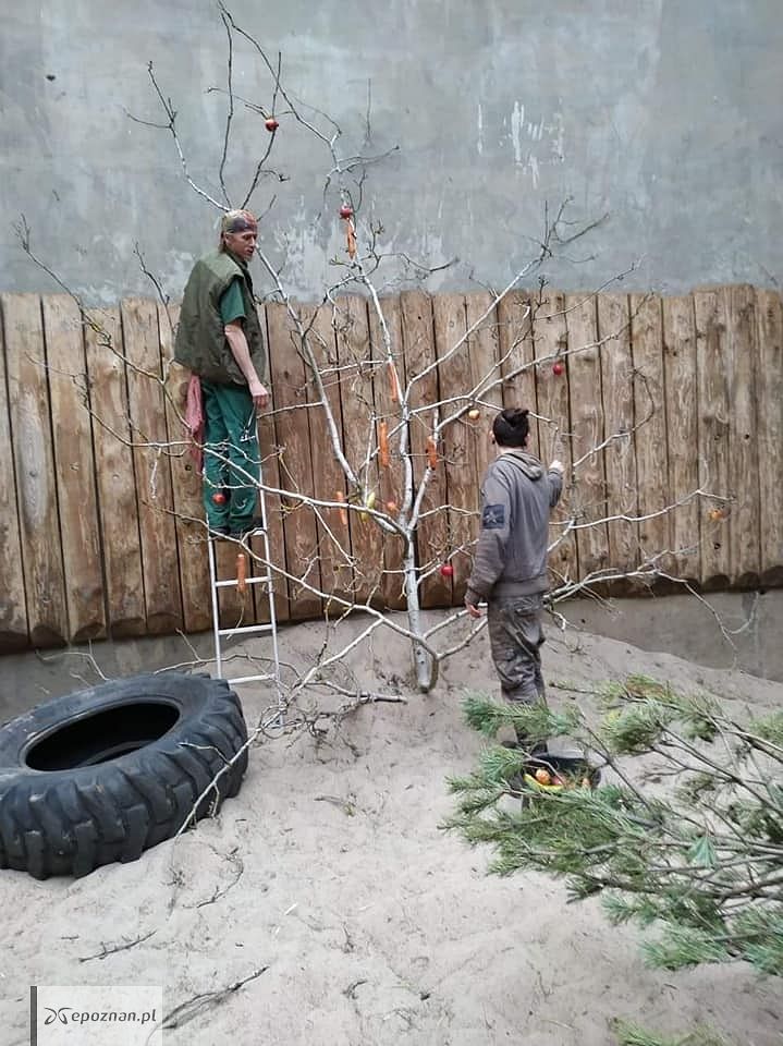 fot. ZOO Poznań FB