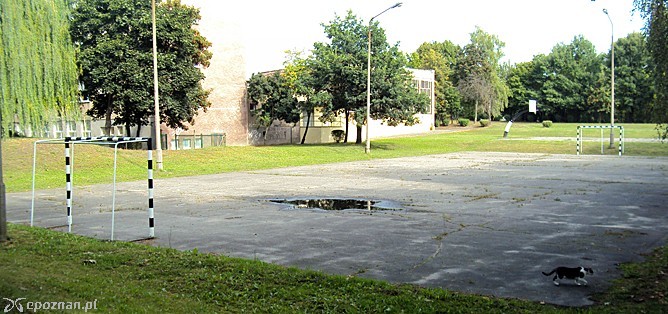 fot. Tomasz Woźniak