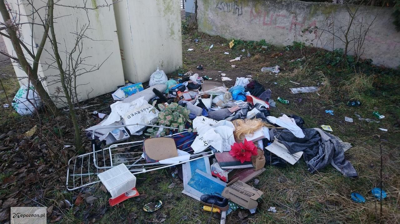 fot. Straż miejska