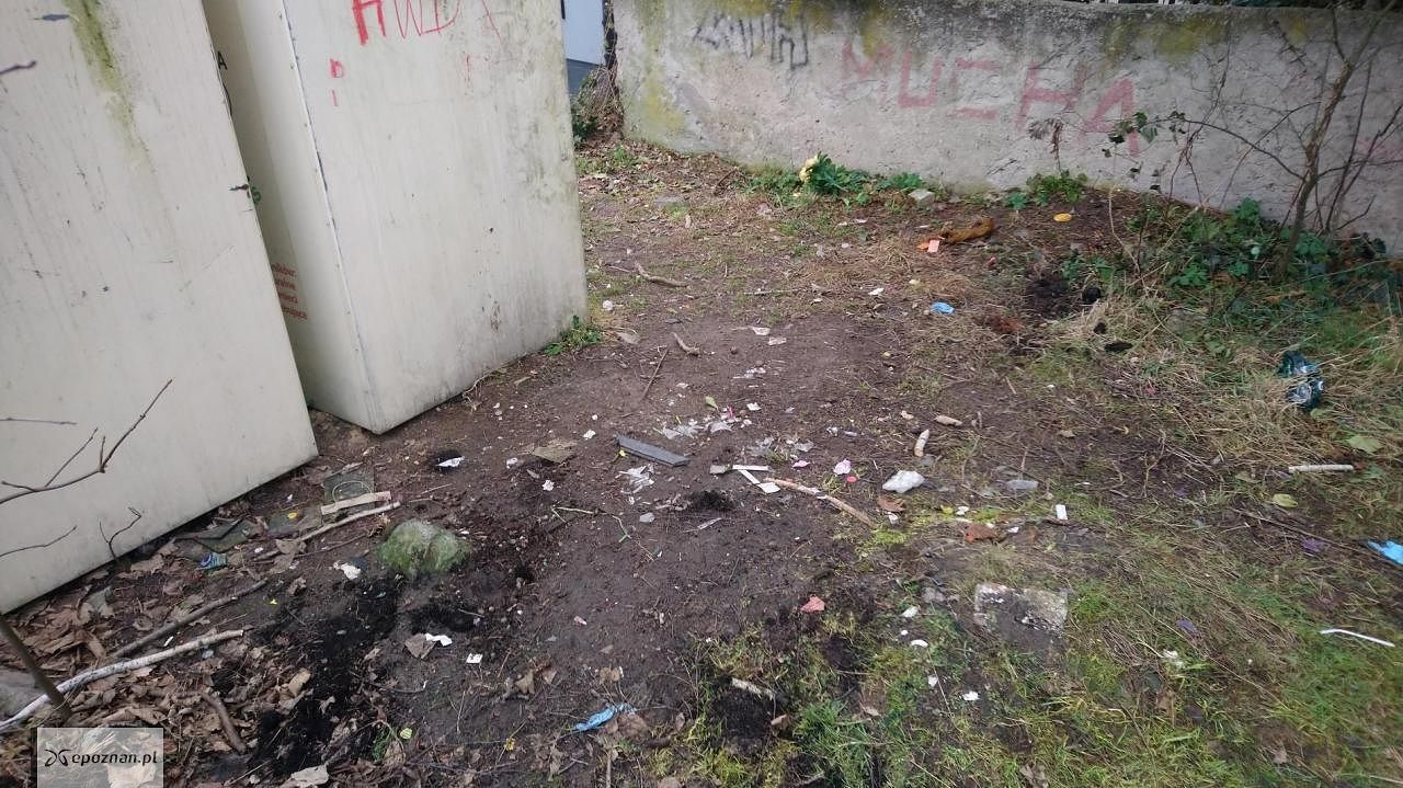 Po sprzątaniu | fot. Straż miejska