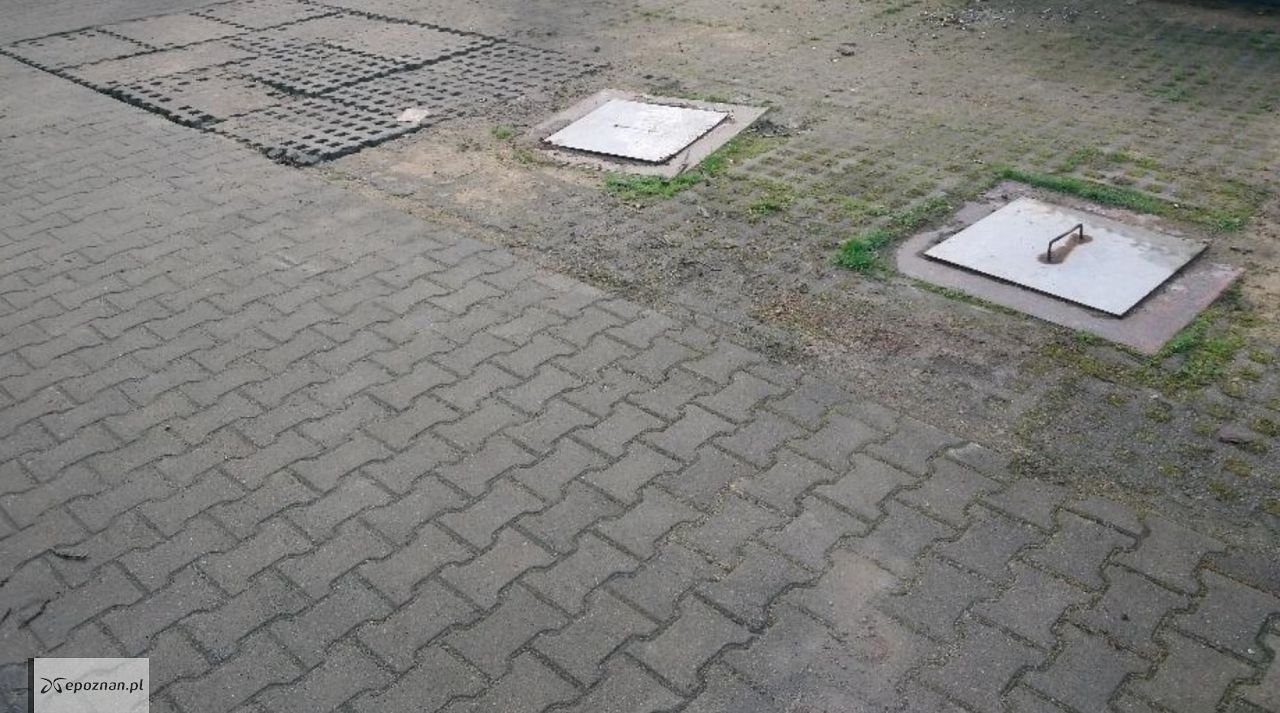 fot. Straż miejska