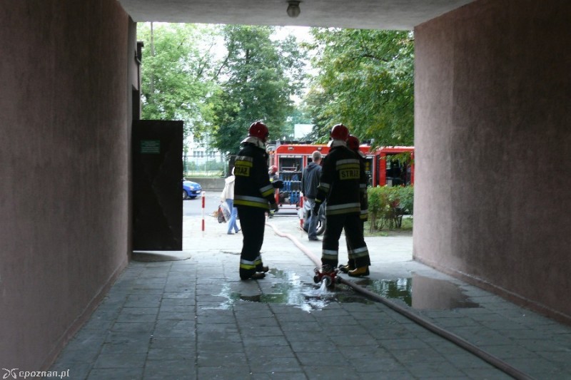 fot. Elżbieta Skowron