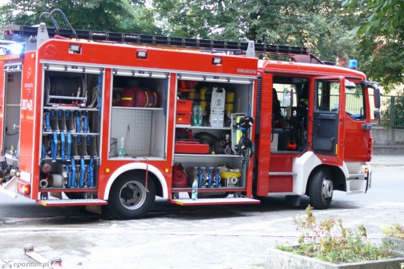 fot. Elżbieta Skowron