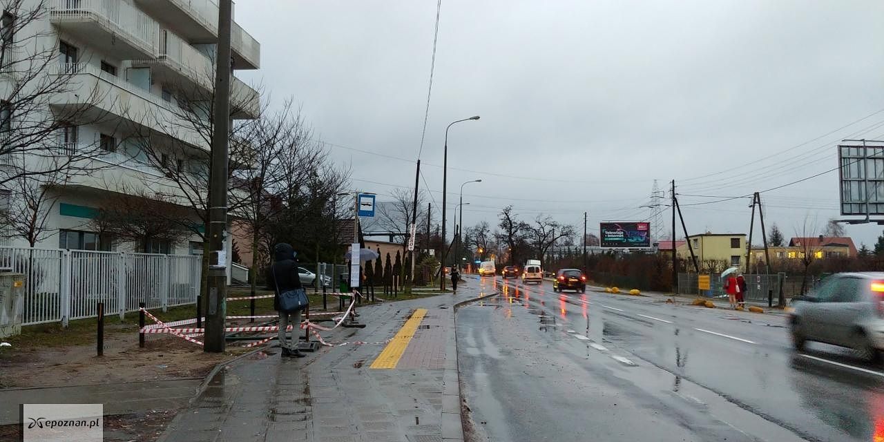 fot. czytelnik