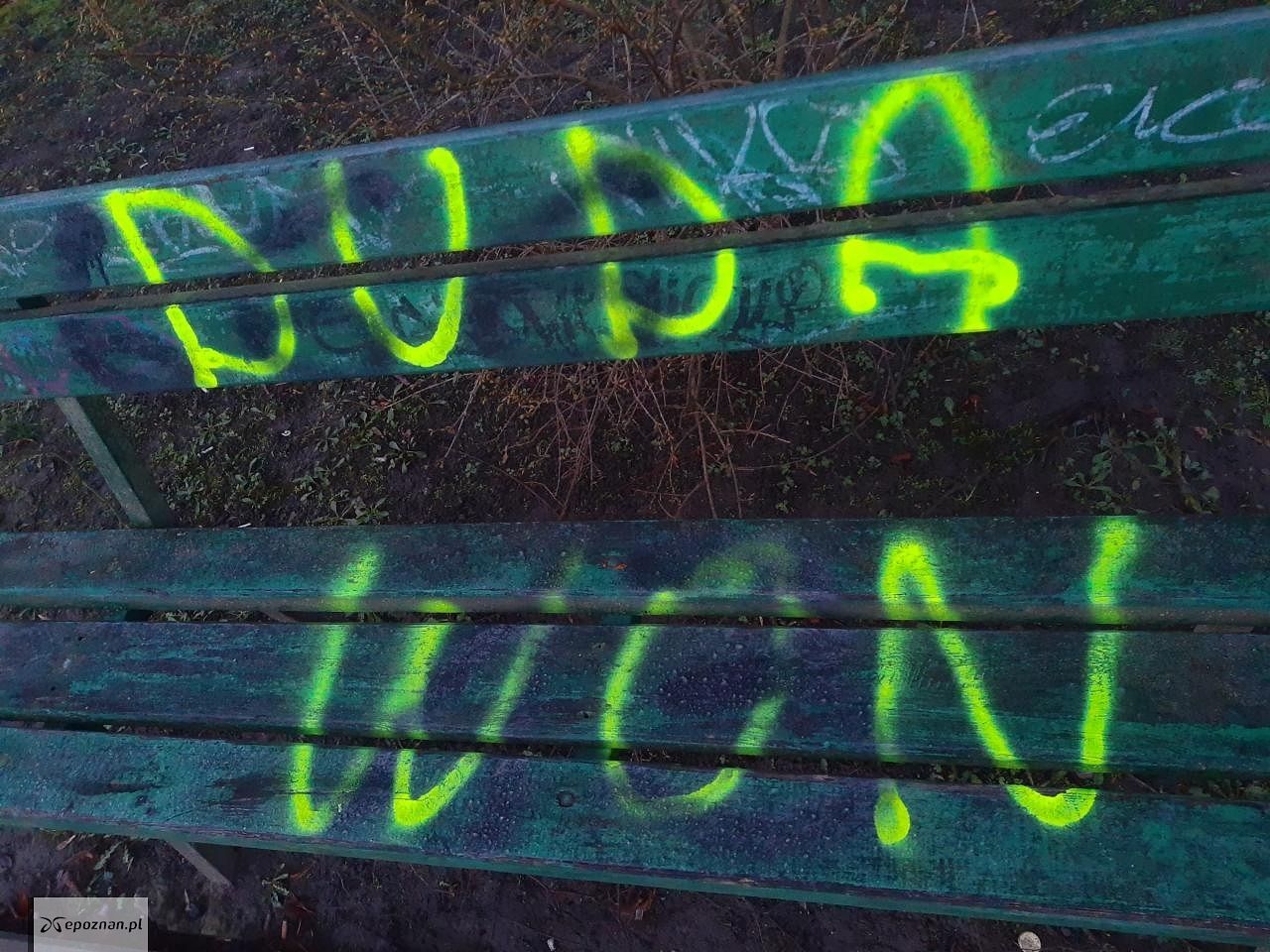 fot. Karol