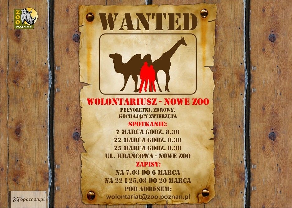fot. ZOO