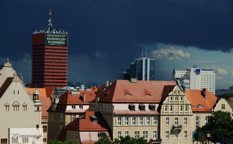 fot. Edyta Stec, archiwum