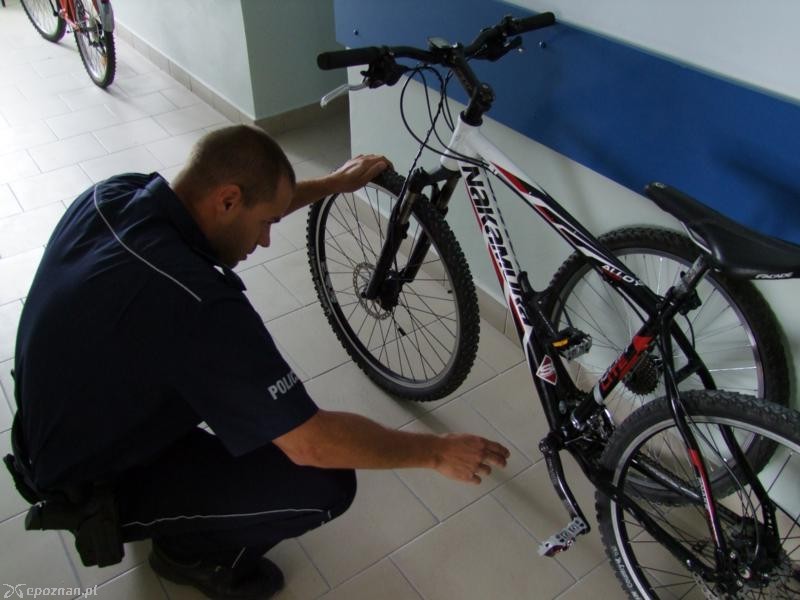 fot. policja