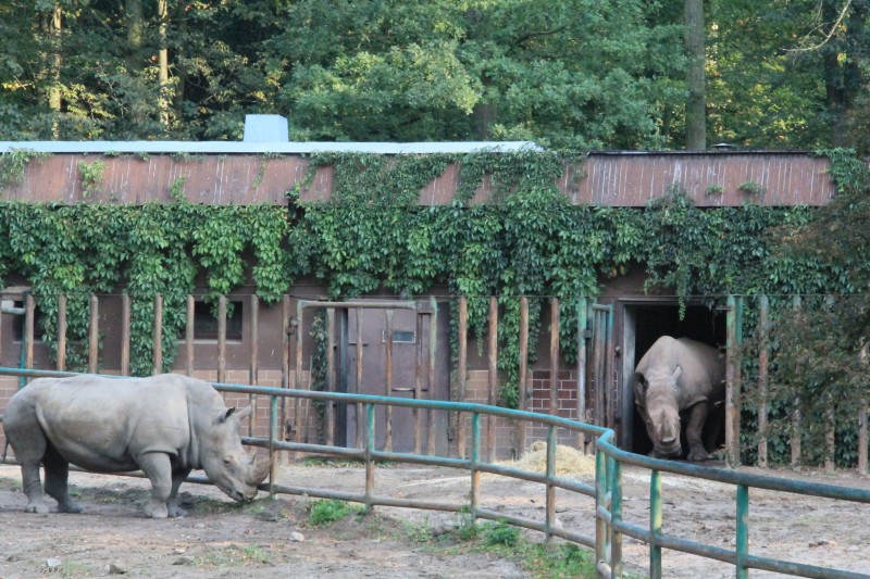 fot. Nowe ZOO