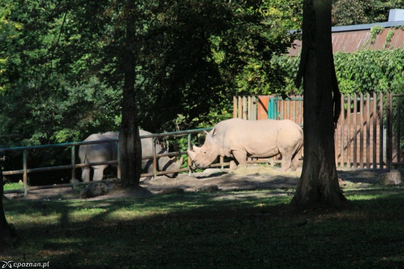fot. Nowe ZOO