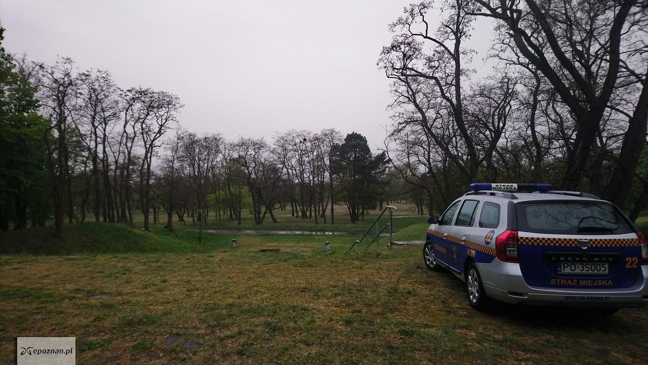 fot. Straż Miejska