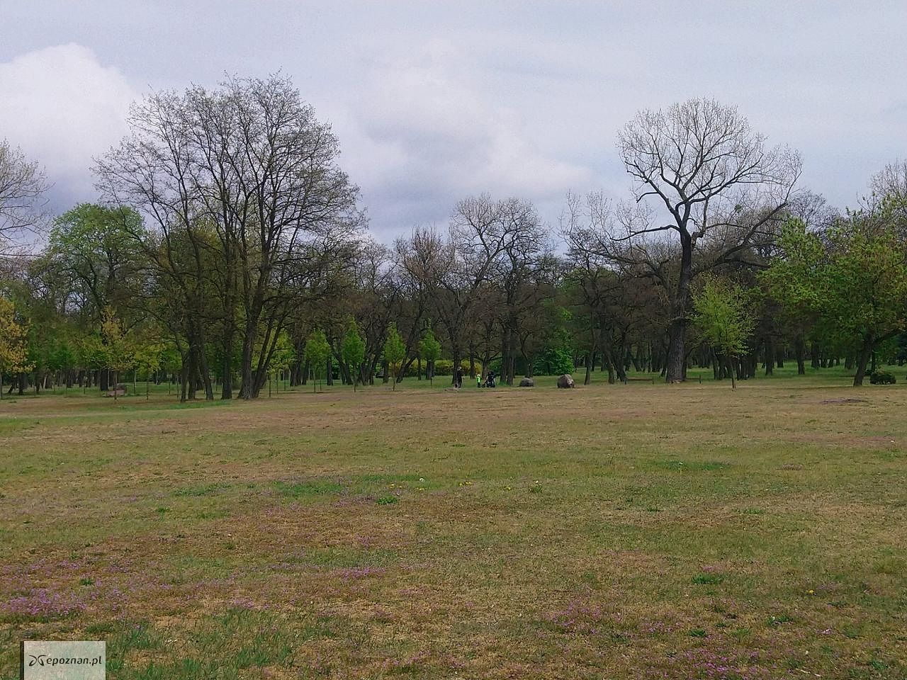 fot. Straż Miejska