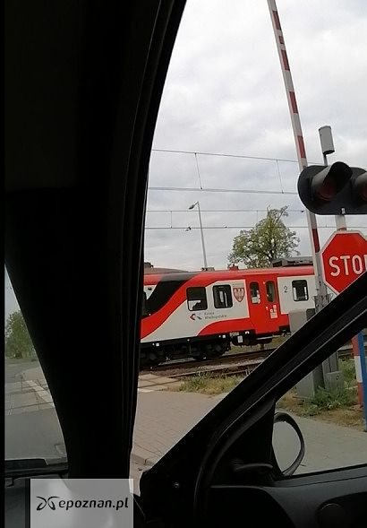 fot. Czytelnik