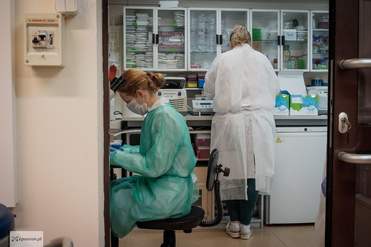 fot. Instytut Chemii Bioorganicznej Polskiej Akademii Nauk w Poznaniu