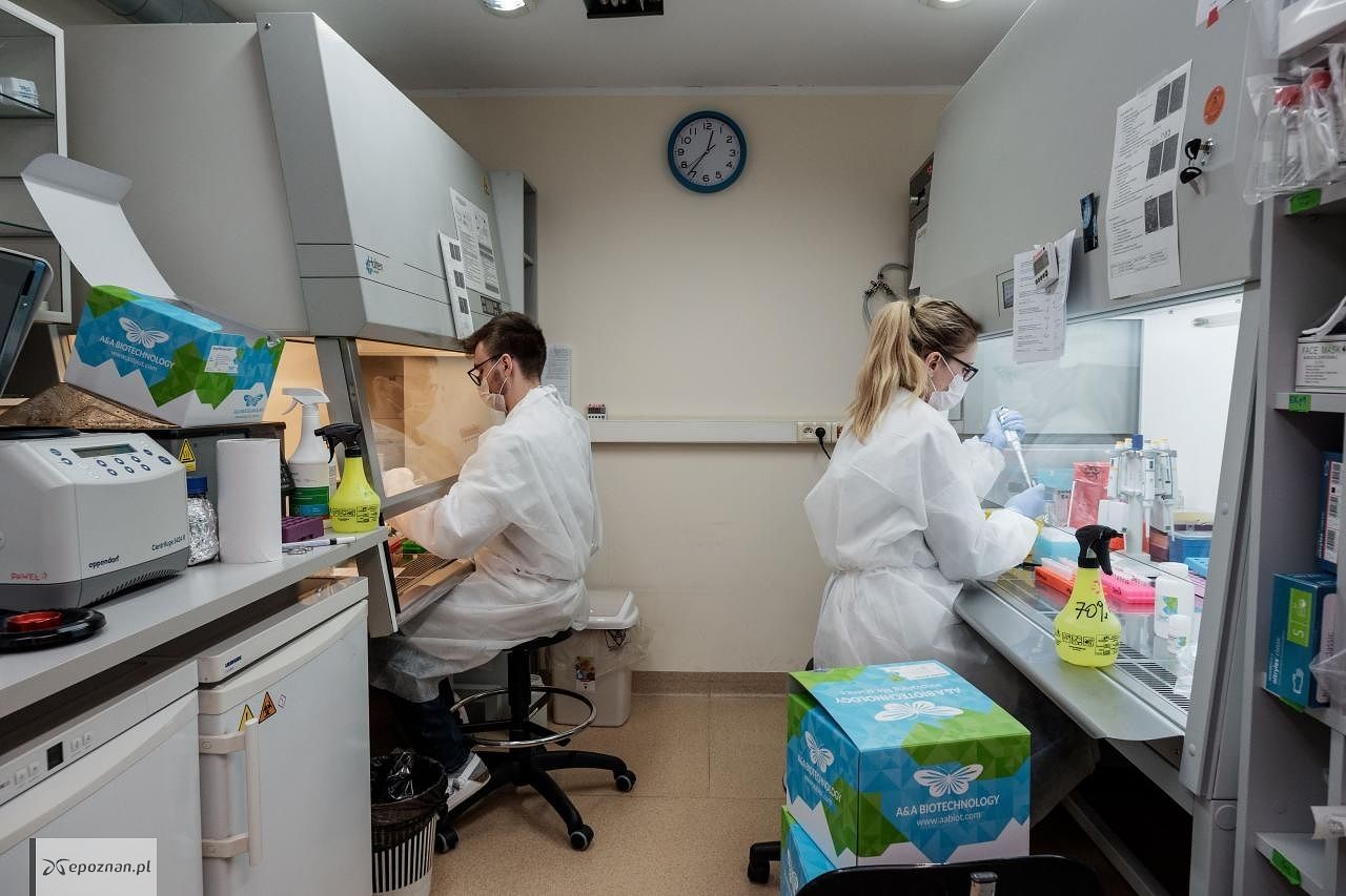 fot. Instytut Chemii Bioorganicznej Polskiej Akademii Nauk w Poznaniu