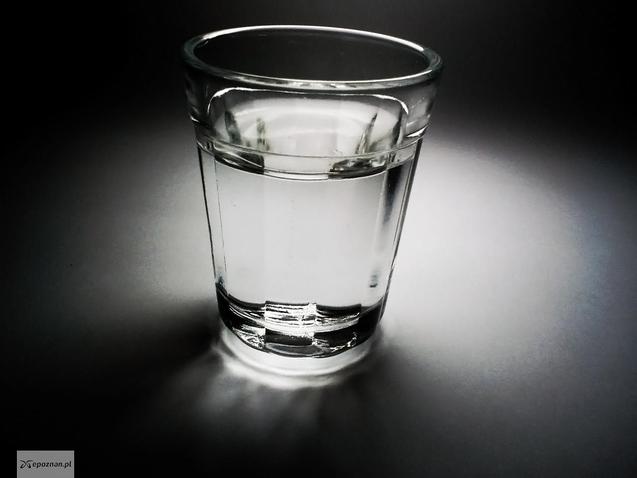 fot. Thiago Felipe Festa/freeimages.com