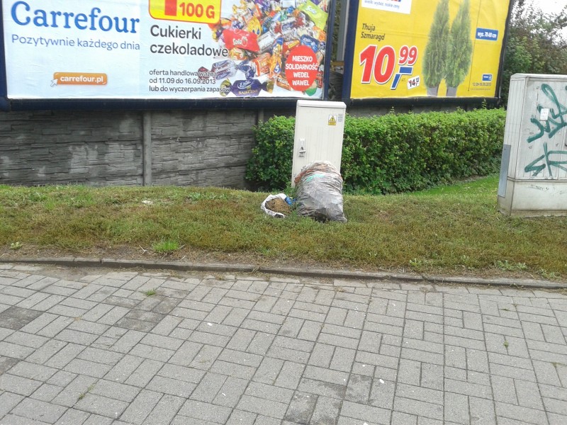 fot. Katarzyna