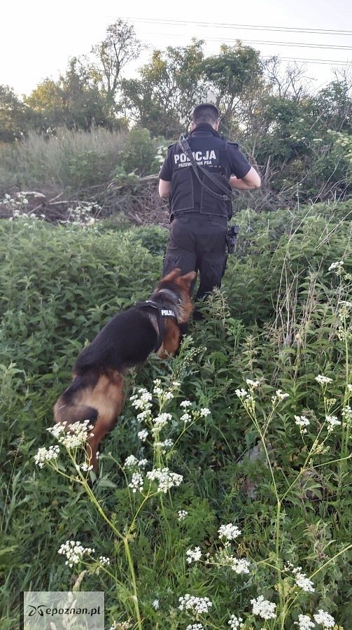 fot. policja