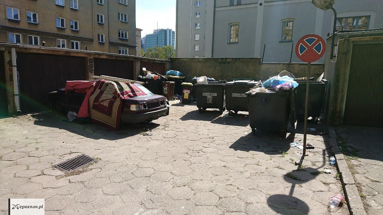 Zdjęcia z ubiegłego tygodnia | fot. Czytelnik