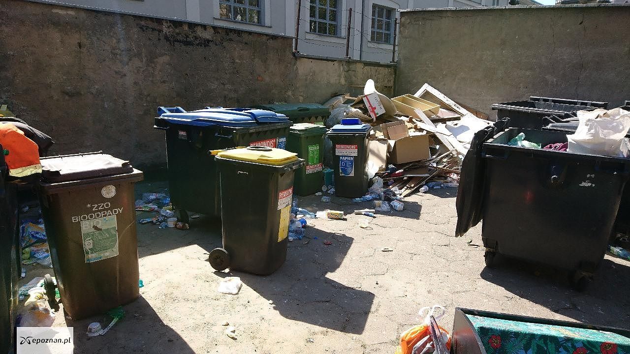 Zdjęcia z ubiegłego tygodnia | fot. Czytelnik