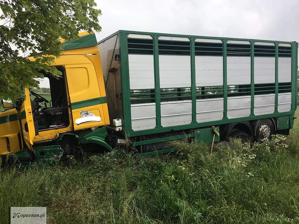 fot. OSP Strzałkowo
