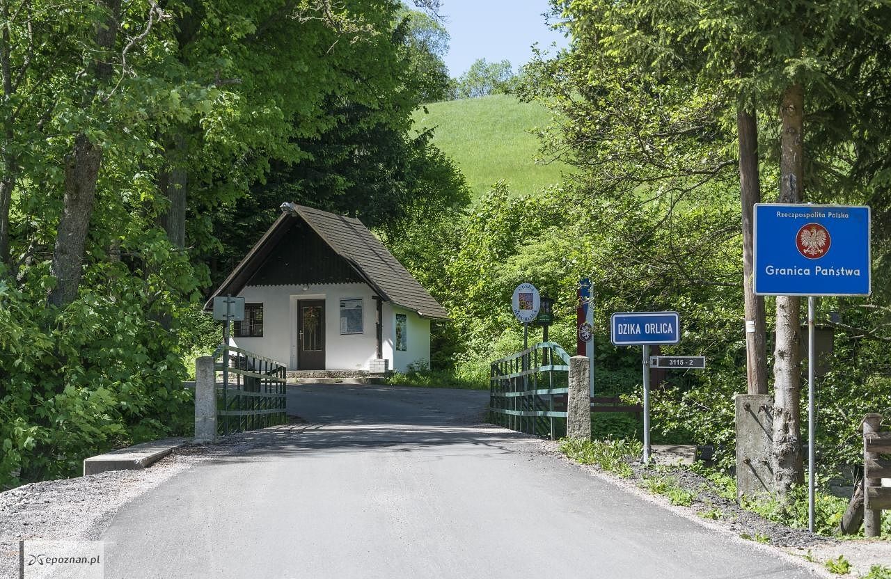 fot. By Jacek Halicki - Praca własna, CC BY-SA 4.0, https://commons.wikimedia.org/w/index.php?curid=69229495