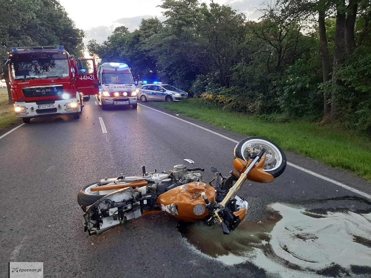 fot. policja Grodzisk Wlkp.