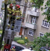 fot. Halina P.