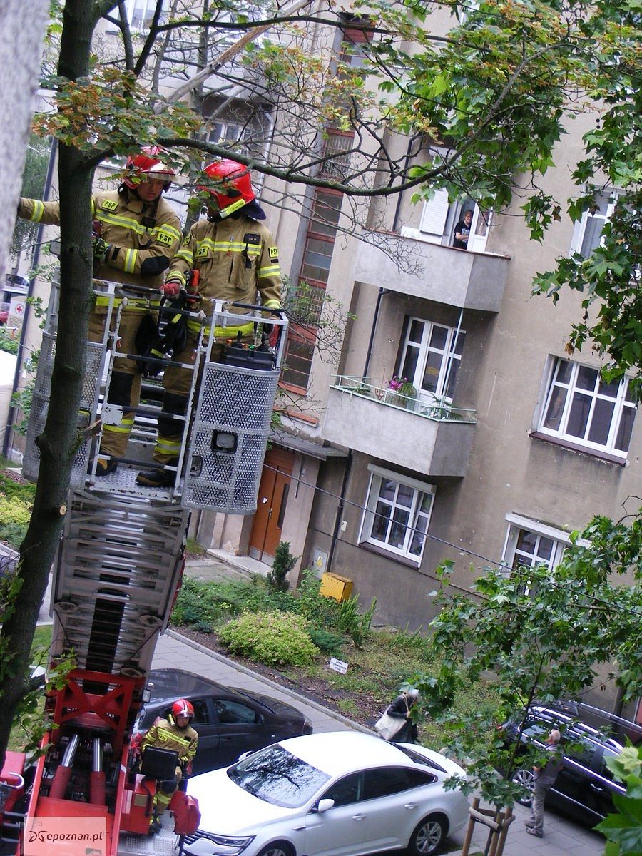 fot. Halina P.