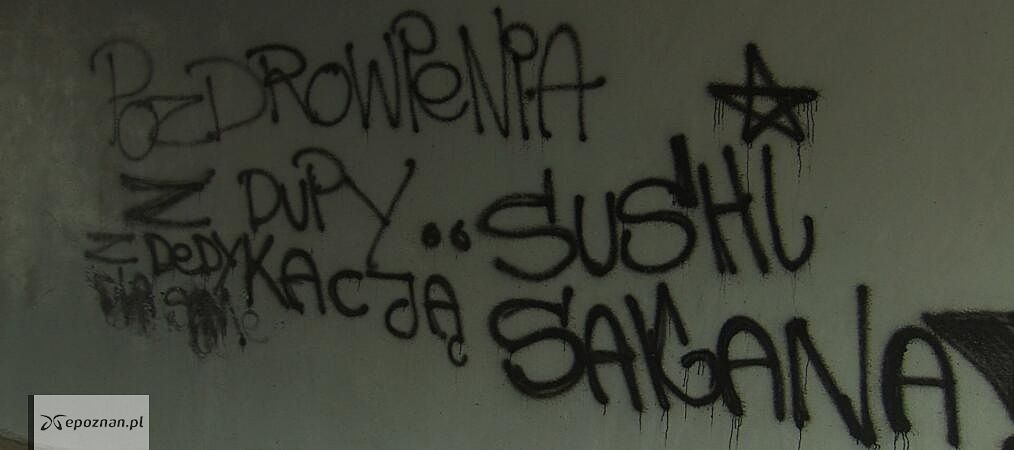fot. asta24.pl