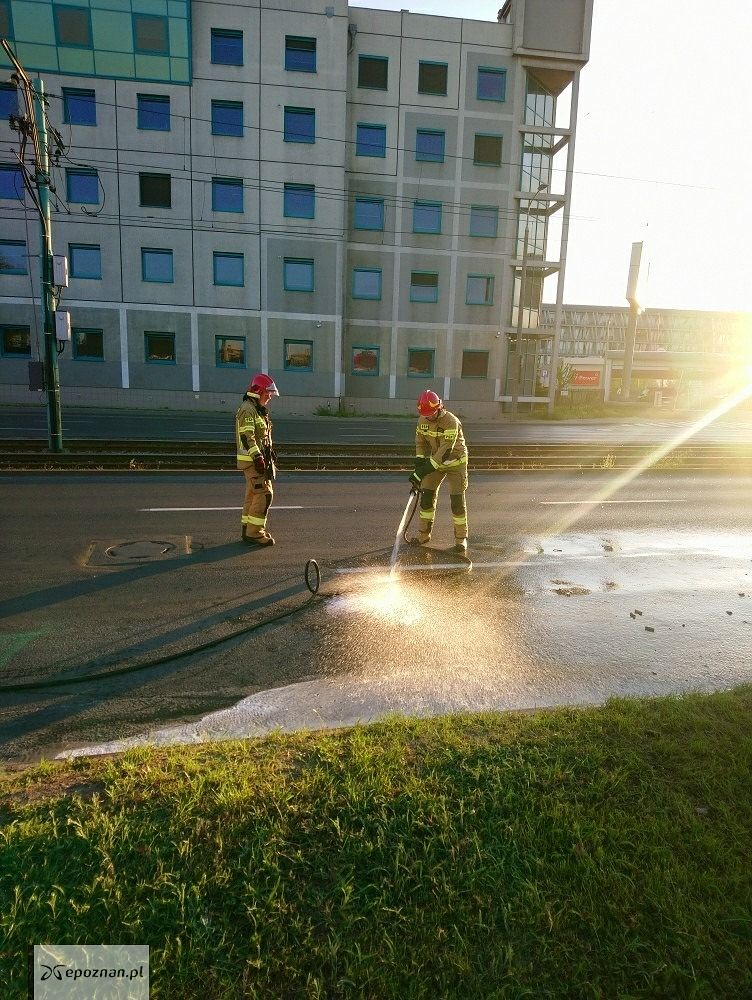 fot. Straż miejska