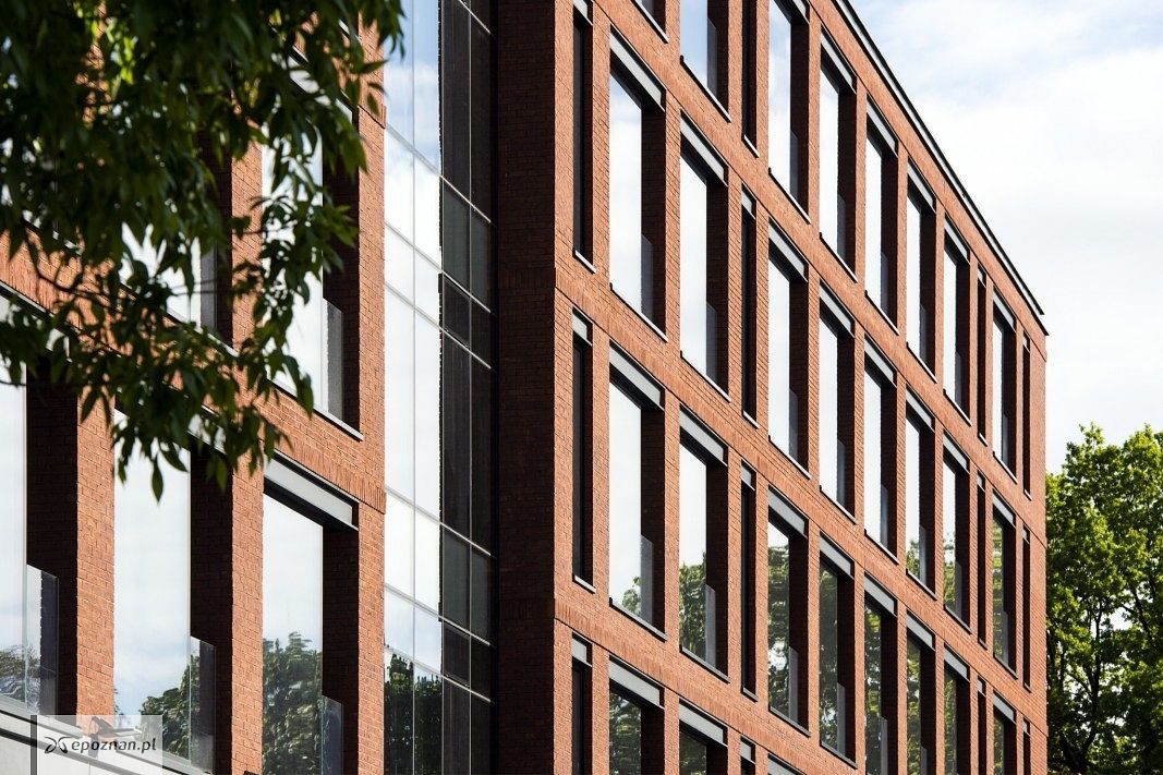 fot. Paweł Młodkowski / giant-office.pl