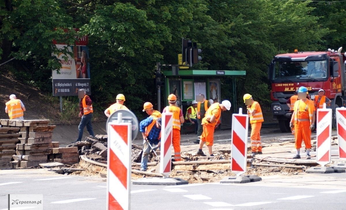 fot. Włodzimierz Hoppel