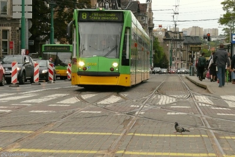 fot. Elżbieta Skowron