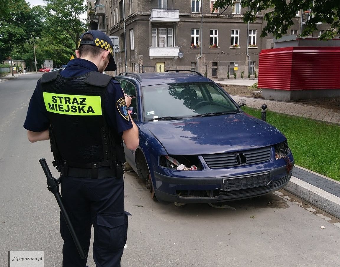 fot. Straż miejska