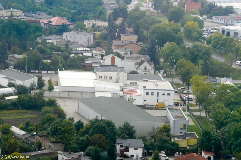 fot. Elżbieta Skowron