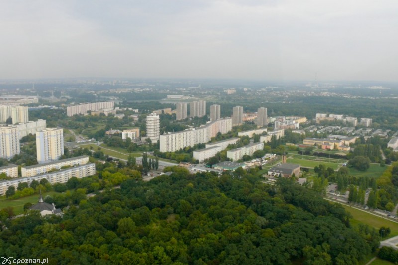 fot. Elżbieta Skowron