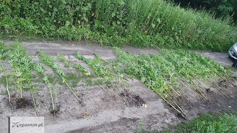 fot. KPP Gniezno