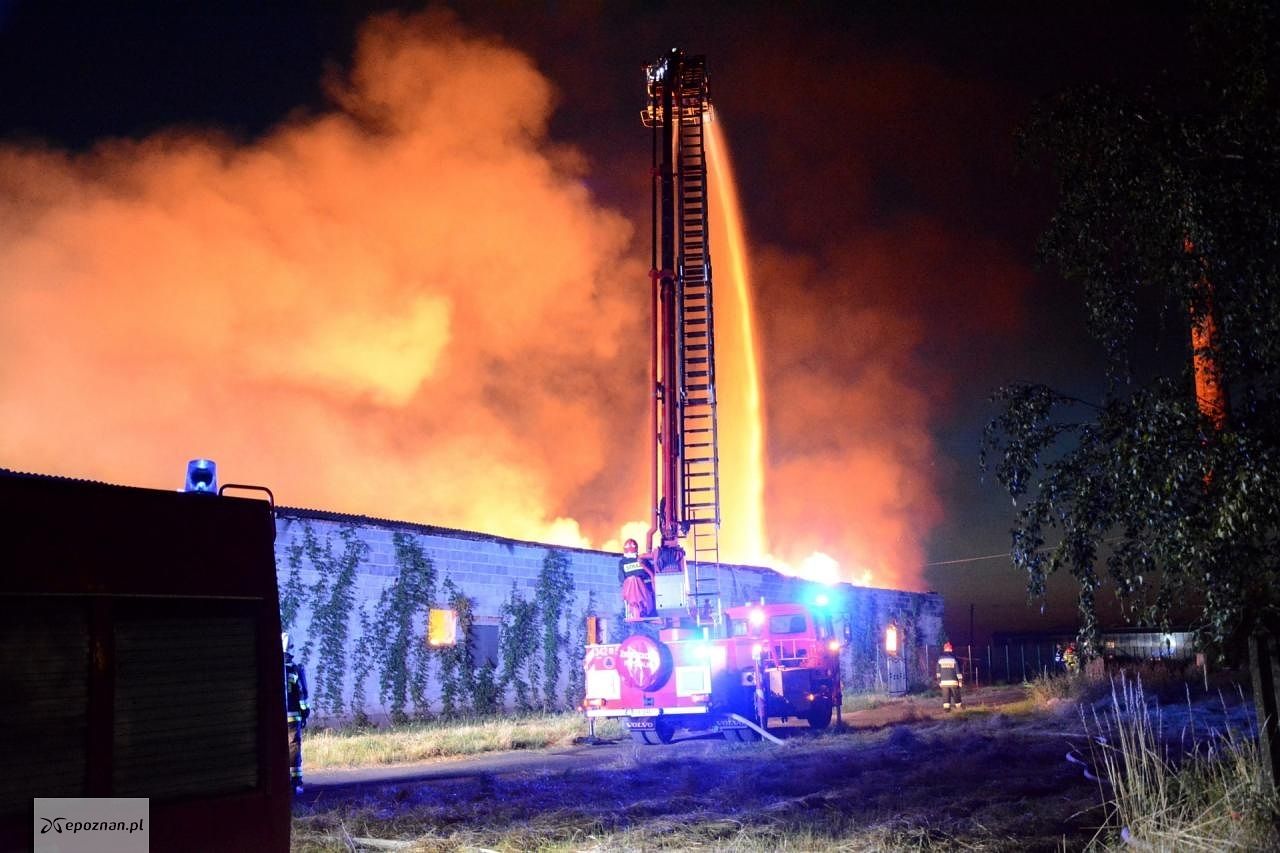 fot. Kalisz24.info.pl