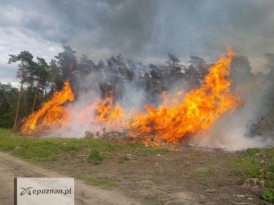 fot. Straż pożarna Konin