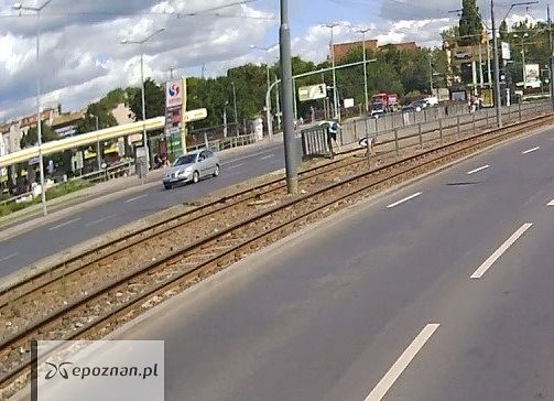fot. Czytelnik