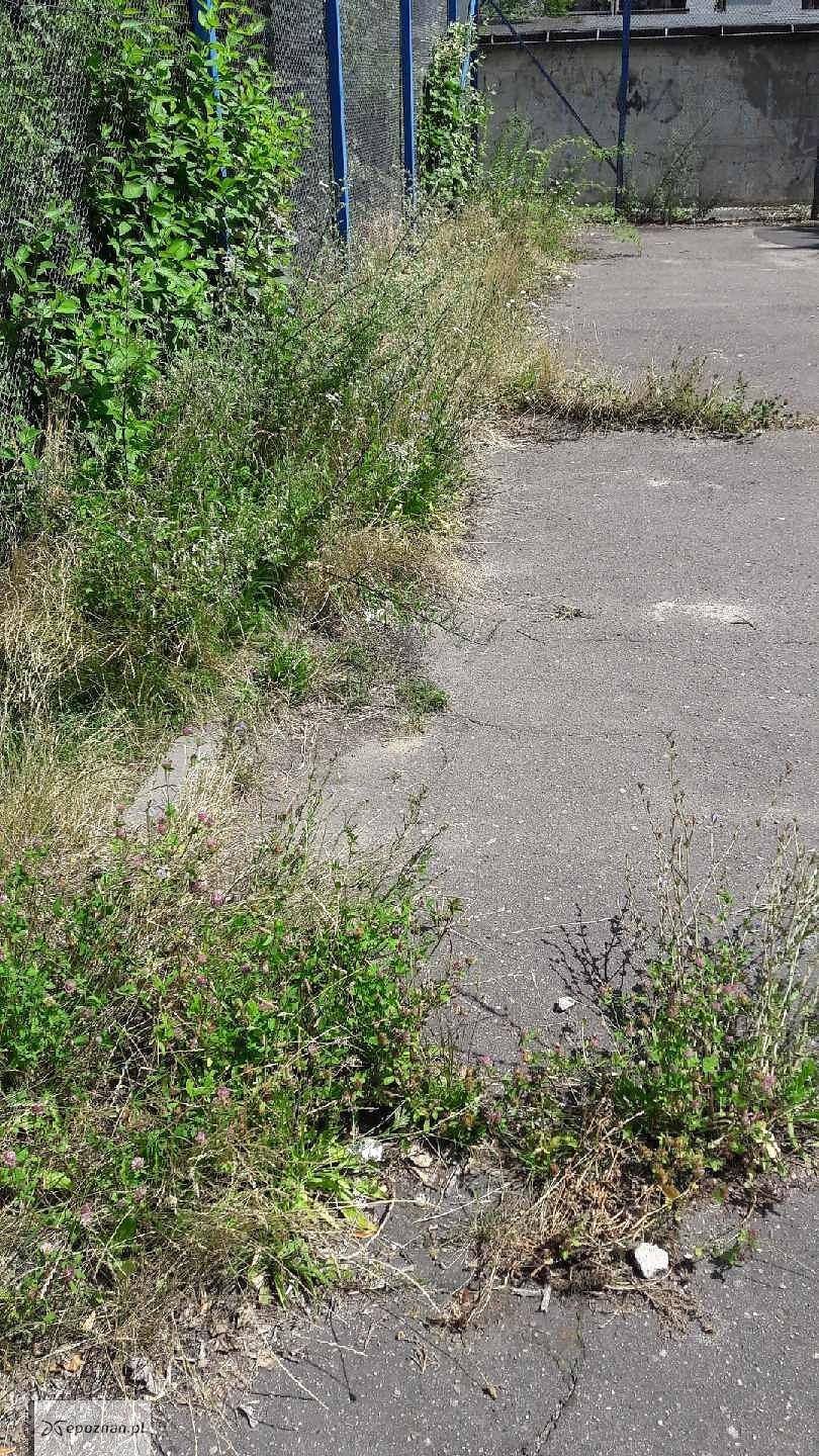 fot. Czytelnik